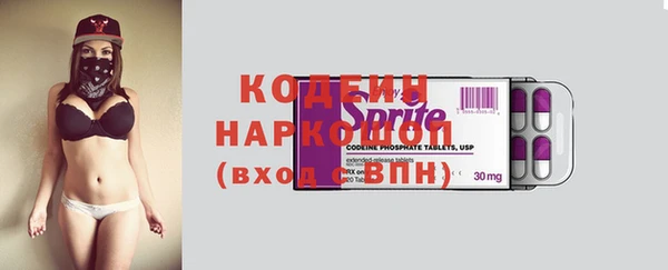 индика Богородицк