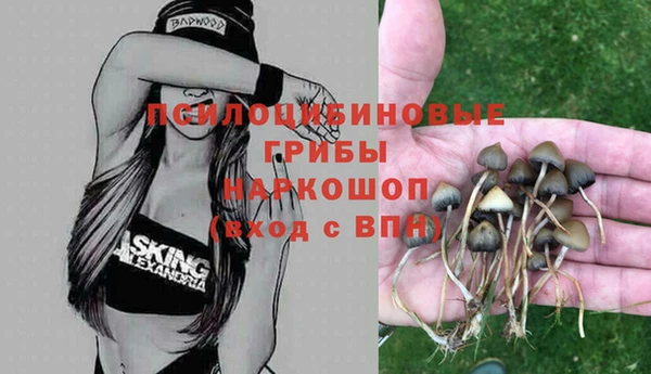 гашишное масло Белокуриха