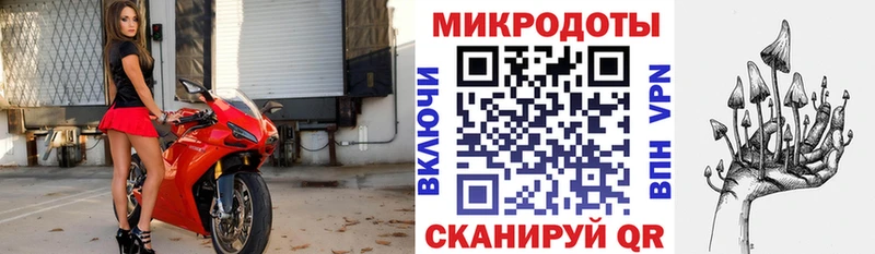Псилоцибиновые грибы GOLDEN TEACHER  Новотитаровская 